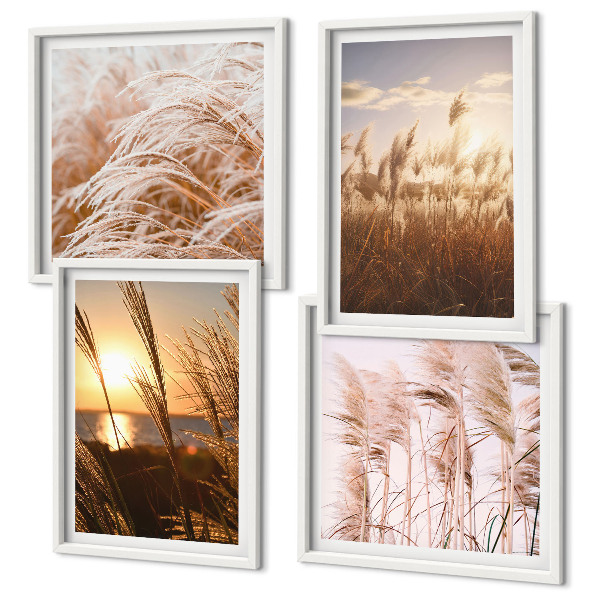 Composição de quadros pôr do sol em um campo de grama boho