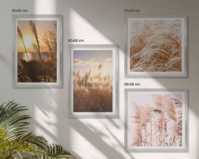 Composição de quadros pôr do sol em um campo de grama boho