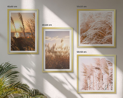 Composição de quadros pôr do sol em um campo de grama boho