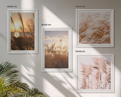 Composição de quadros pôr do sol em um campo de grama boho