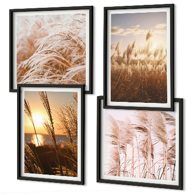 Composição de quadros pôr do sol em um campo de grama boho