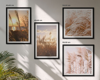 Composição de quadros pôr do sol em um campo de grama boho