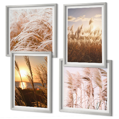 Composição de quadros pôr do sol em um campo de grama boho
