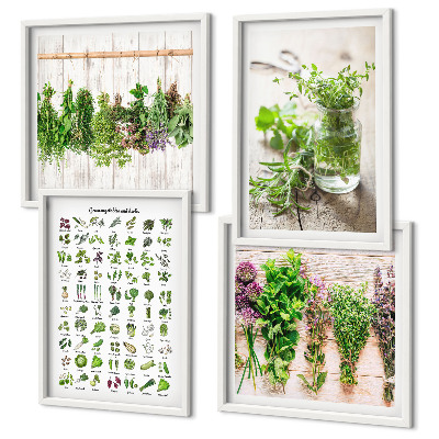 Composição de quadros Ervas secas para a cozinha