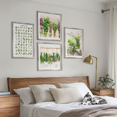Composição de quadros Ervas secas para a cozinha