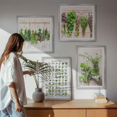 Composição de quadros Ervas secas para a cozinha