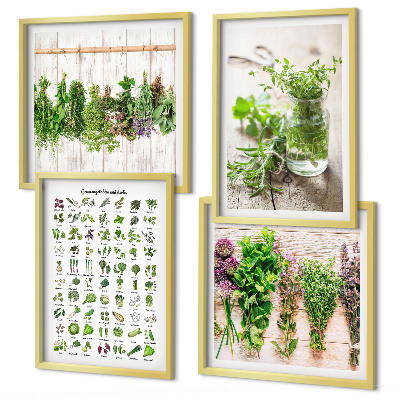 Composição de quadros Ervas secas para a cozinha