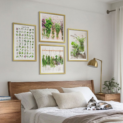 Composição de quadros Ervas secas para a cozinha