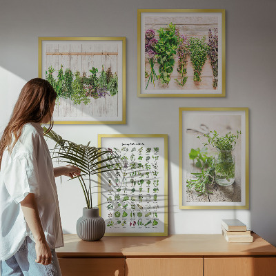 Composição de quadros Ervas secas para a cozinha