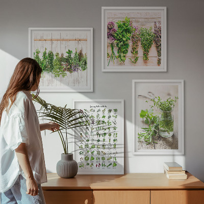 Composição de quadros Ervas secas para a cozinha