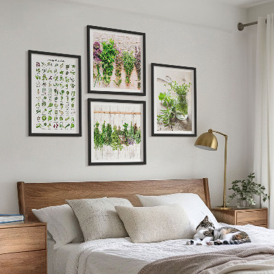 Composição de quadros Ervas secas para a cozinha