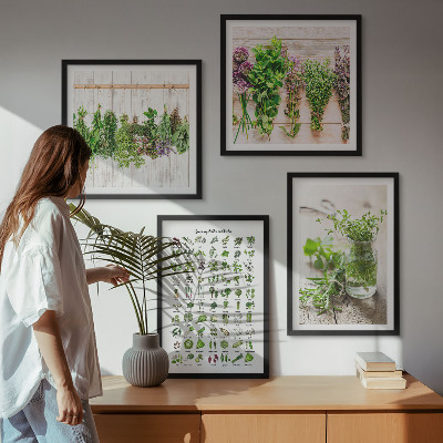 Composição de quadros Ervas secas para a cozinha