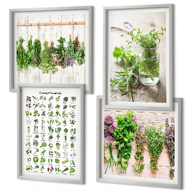 Composição de quadros Ervas secas para a cozinha