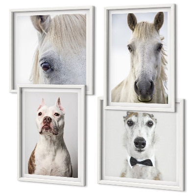 Conjunto de 4 quadros com moldura Retratos elegantes de cães e cavalos