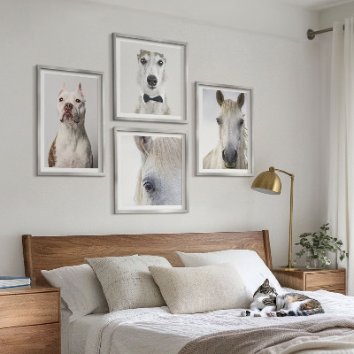 Conjunto de 4 quadros com moldura Retratos elegantes de cães e cavalos