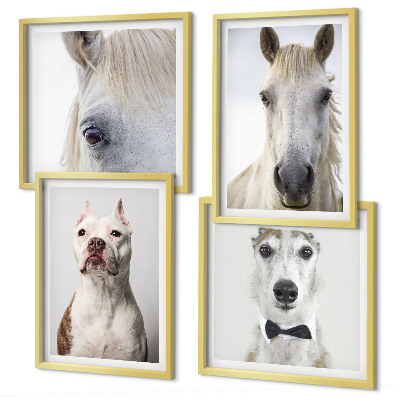 Conjunto de 4 quadros com moldura Retratos elegantes de cães e cavalos