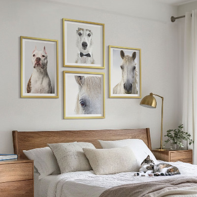 Conjunto de 4 quadros com moldura Retratos elegantes de cães e cavalos