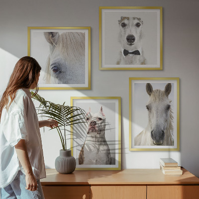 Conjunto de 4 quadros com moldura Retratos elegantes de cães e cavalos