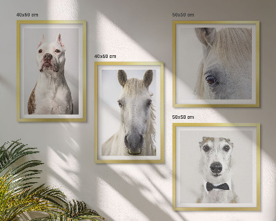 Conjunto de 4 quadros com moldura Retratos elegantes de cães e cavalos