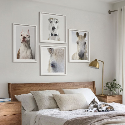 Conjunto de 4 quadros com moldura Retratos elegantes de cães e cavalos