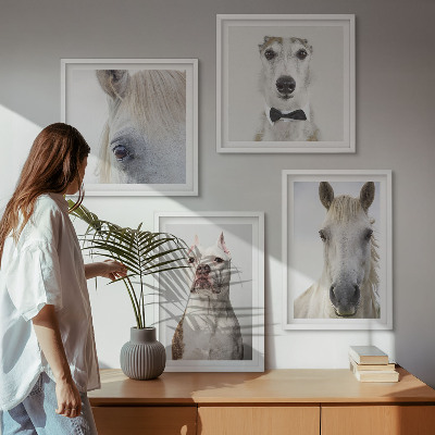Conjunto de 4 quadros com moldura Retratos elegantes de cães e cavalos