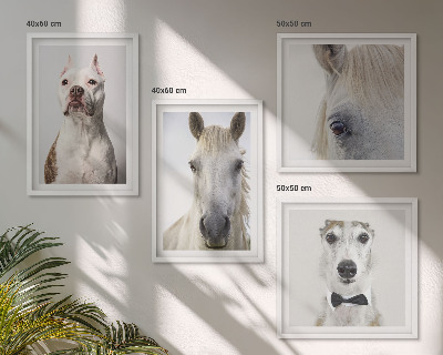 Conjunto de 4 quadros com moldura Retratos elegantes de cães e cavalos