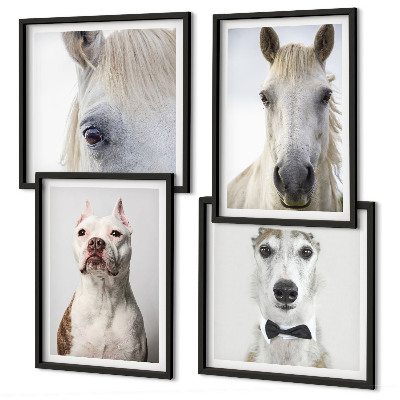 Conjunto de 4 quadros com moldura Retratos elegantes de cães e cavalos