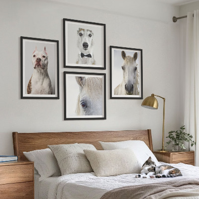 Conjunto de 4 quadros com moldura Retratos elegantes de cães e cavalos