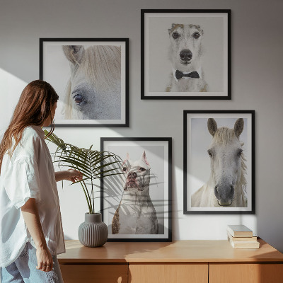 Conjunto de 4 quadros com moldura Retratos elegantes de cães e cavalos