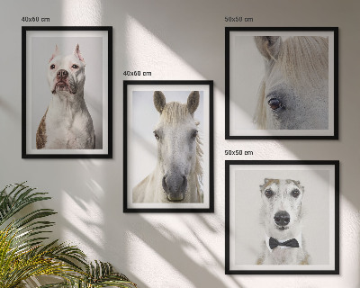 Conjunto de 4 quadros com moldura Retratos elegantes de cães e cavalos
