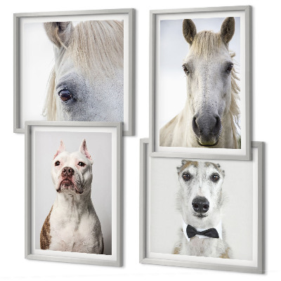 Conjunto de 4 quadros com moldura Retratos elegantes de cães e cavalos