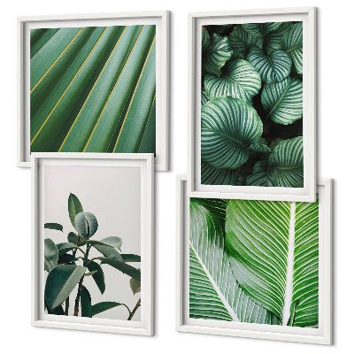 Conjunto de 4 quadros com moldura Folhas tropicais em verde