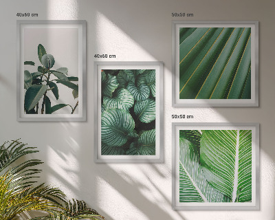 Conjunto de 4 quadros com moldura Folhas tropicais em verde