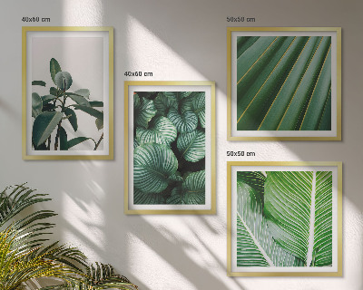Conjunto de 4 quadros com moldura Folhas tropicais em verde