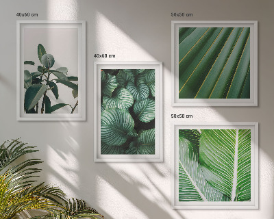 Conjunto de 4 quadros com moldura Folhas tropicais em verde
