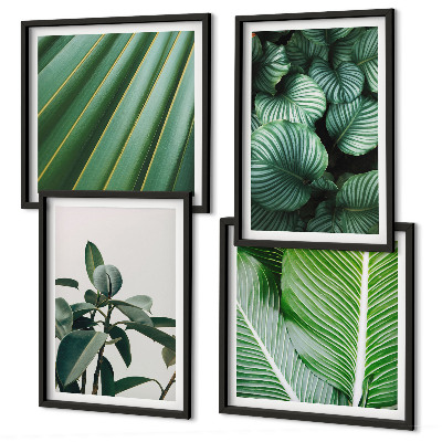 Conjunto de 4 quadros com moldura Folhas tropicais em verde
