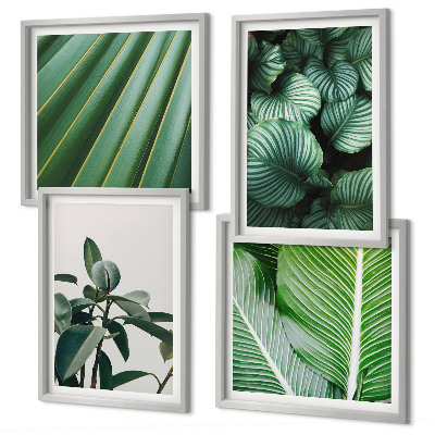 Conjunto de 4 quadros com moldura Folhas tropicais em verde