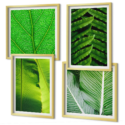 Políptico com moldura Close-up de folhas tropicais