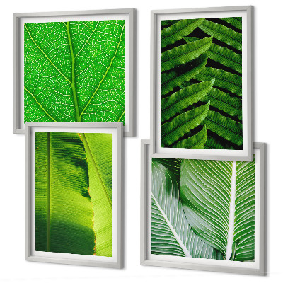 Políptico com moldura Close-up de folhas tropicais