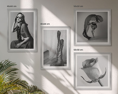 Composição de quadros Retratos elegantes de mulheres sofisticadas
