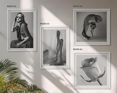 Composição de quadros Retratos elegantes de mulheres sofisticadas