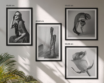 Composição de quadros Retratos elegantes de mulheres sofisticadas