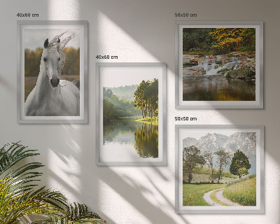 Conjunto de 4 quadros com moldura Rio dos Cavalos Brancos natureza