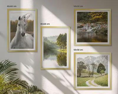 Conjunto de 4 quadros com moldura de natureza Rio dos Cavalos Brancos