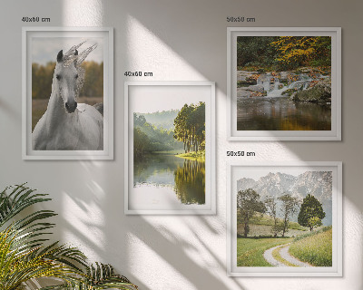 Conjunto de 4 quadros com moldura Rio dos Cavalos Brancos natureza