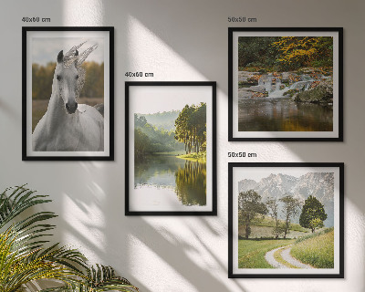 Conjunto de 4 quadros com moldura Rio dos Cavalos Brancos natureza