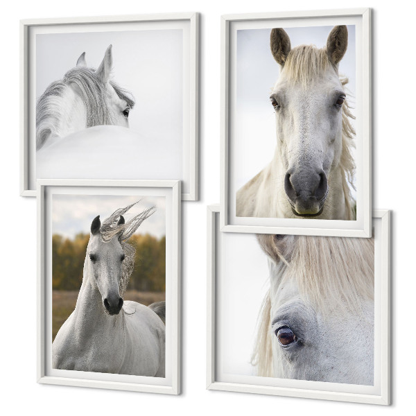 Conjunto de 4 quadros com moldura Cavalos brancos