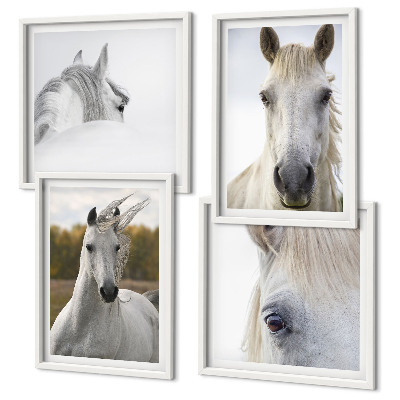 Conjunto de 4 quadros com moldura Cavalos brancos
