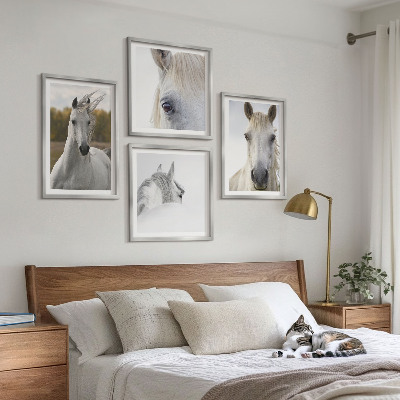 Conjunto de 4 quadros com moldura Cavalos brancos
