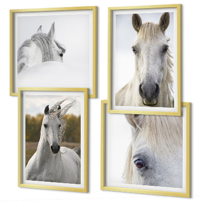 Conjunto de 4 quadros com moldura Cavalos brancos